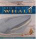 Cover art for BIG BLUE WHALE