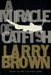 Cover art for A MIRACLE OF CATFISH