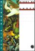 Cover art for NIGHT OF AMBER