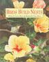 Cover art for BIRDS BUILD NESTS