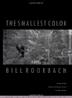 Cover art for THE SMALLEST COLOR