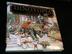 Cover art for DINOTOPIA
