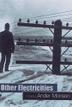 Cover art for OTHER ELECTRICITIES