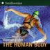 Cover art for THE HUMAN BODY