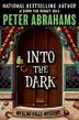 Cover art for INTO THE DARK