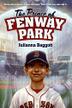 Cover art for THE PRINCE OF FENWAY PARK