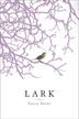 Cover art for LARK