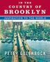 Cover art for IN THE COUNTRY OF BROOKLYN