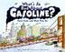Cover art for WHAT’S SO BAD ABOUT GASOLINE?