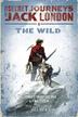 Cover art for THE WILD