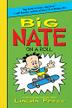 Cover art for BIG NATE ON A ROLL