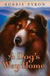 Cover art for A DOG'S WAY HOME