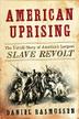 Cover art for AMERICAN UPRISING