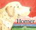 Cover art for HOMER