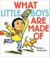 Cover art for WHAT LITTLE BOYS ARE MADE OF