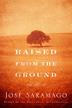 Cover art for RAISED FROM THE GROUND