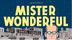 Cover art for MISTER WONDERFUL