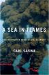 Cover art for A SEA IN FLAMES