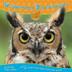 Cover art for WILDERNESS DISCOVERIES