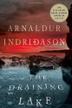 Cover art for THE DRAINING LAKE