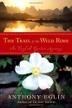 Cover art for THE TRAIL OF THE WILD ROSE
