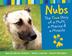 Cover art for NUBS