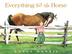Cover art for EVERYTHING BUT THE HORSE