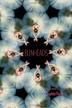 Cover art for BUNHEADS