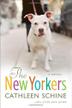 Cover art for THE NEW YORKERS