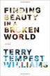 Cover art for FINDING BEAUTY IN A BROKEN WORLD