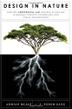 Cover art for DESIGN IN NATURE