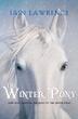 Cover art for THE WINTER PONY