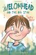 Cover art for MELONHEAD AND THE BIG STINK