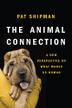 Cover art for THE ANIMAL CONNECTION