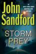 Cover art for STORM PREY