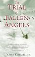 Cover art for THE TRIAL OF FALLEN ANGELS