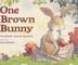 Cover art for ONE BROWN BUNNY