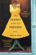 Cover art for THE SECRET LIVES OF DRESSES
