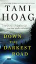 Cover art for DOWN THE DARKEST ROAD