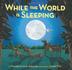 Cover art for WHILE THE WORLD IS SLEEPING