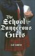 Cover art for THE SCHOOL FOR DANGEROUS GIRLS