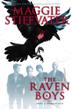 Cover art for THE RAVEN BOYS