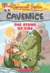 Cover art for THE STONE OF FIRE