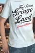Cover art for FAR FROM GRINGO LAND