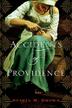 Cover art for ACCIDENTS OF PROVIDENCE