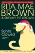 Cover art for SANTA CLAWED