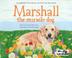 Cover art for MARSHALL THE MIRACLE DOG