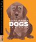 Cover art for DOGS AND CATS
