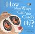 Cover art for HOW MANY WAYS CAN YOU CATCH A FLY?