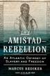 Cover art for THE AMISTAD REBELLION